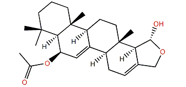 Mooloolabene K